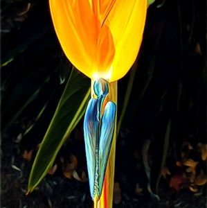 Meet your Posher, Fred